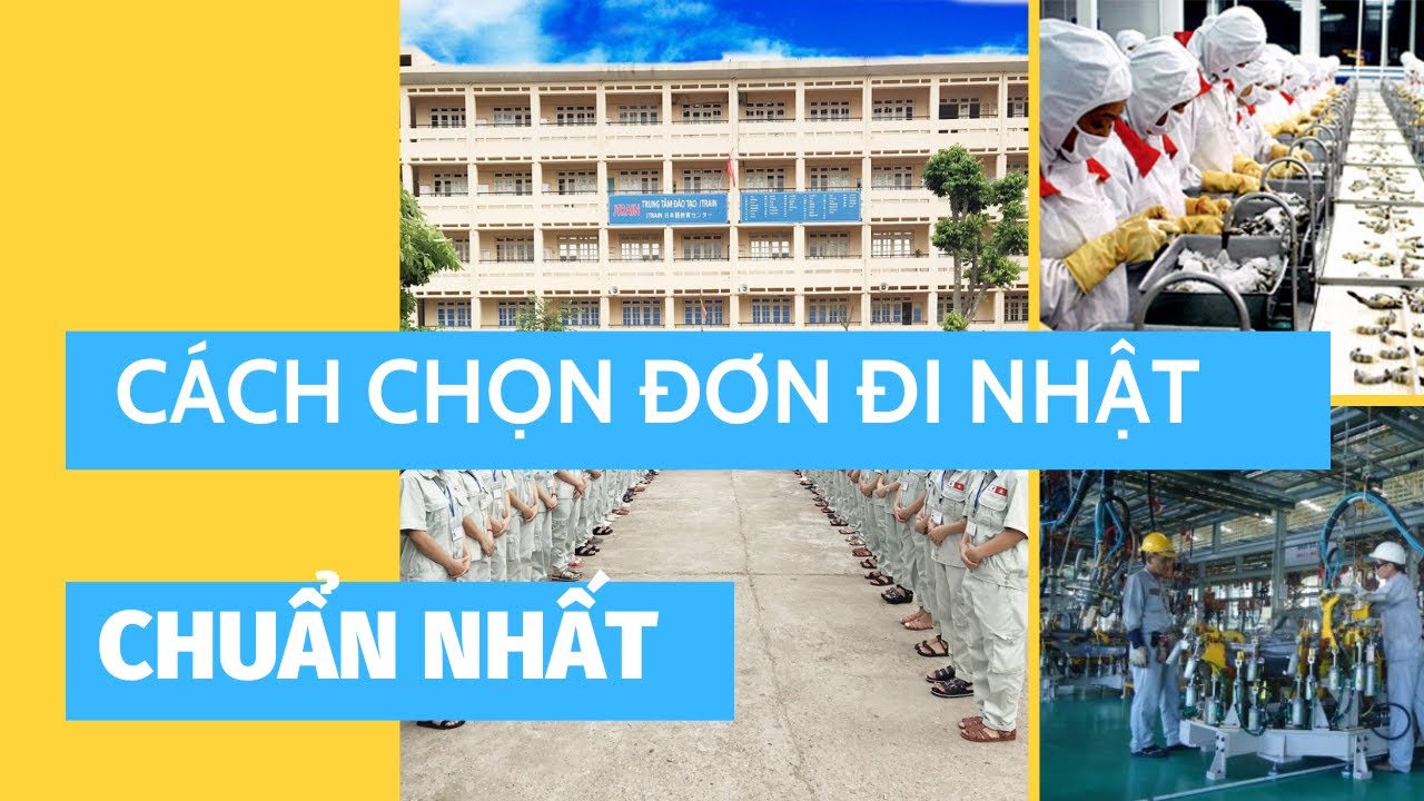 Đánh giá Top 7 Công ty xuất khẩu lao động Nhật Bản Uy Tín nhất tại Tỉnh Gia Lai - Bình Định năm 2025