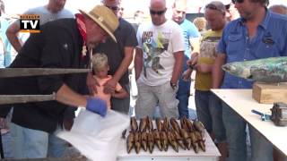 Nk Makreelroken In Petten