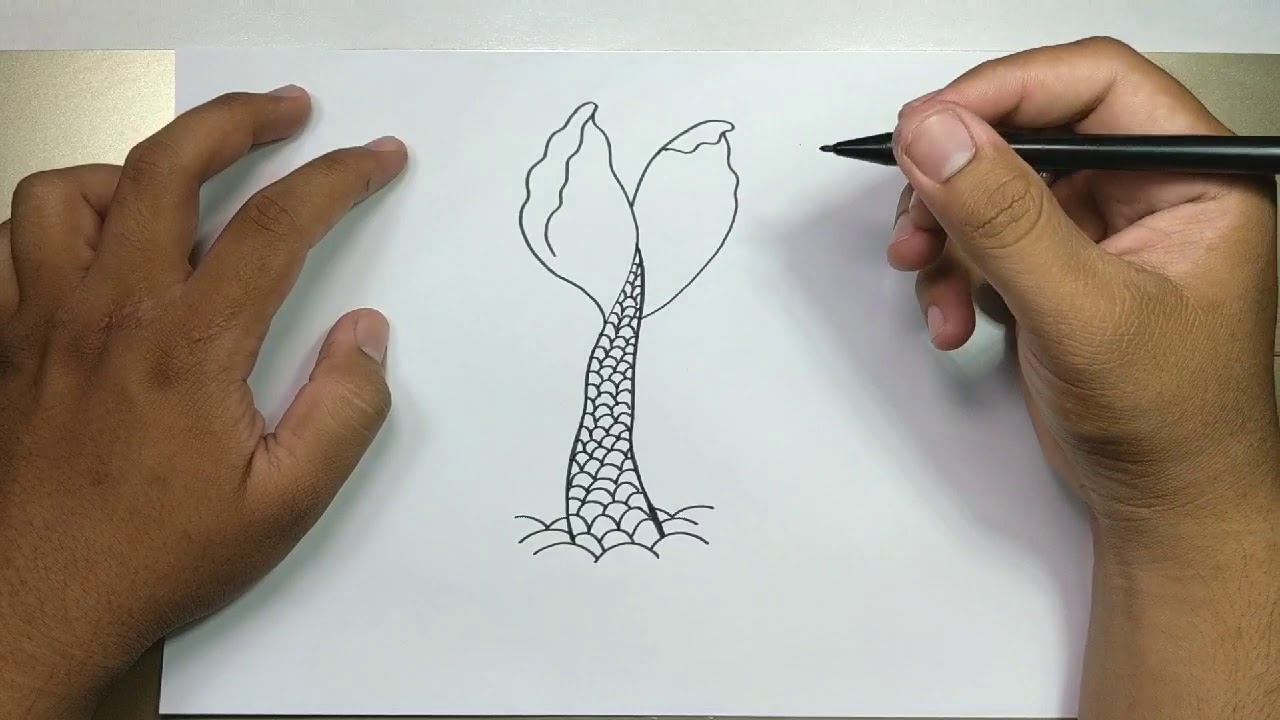 little mermaid tail drawing