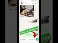 WhatsApp Camera 2 Secret Features | WhatsApp New Features #whatsapp #whatsappstatus #efa