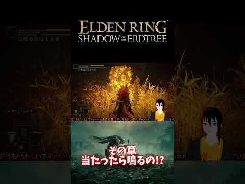 【ELDEN RING DLC】その草 当たったら鳴るの！？【長月紅葉】#eldenring  #エルデンリング #ゲーム実況 #dlc