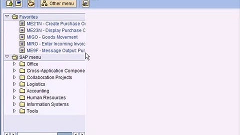 SAP BASIS AND NETWEAVER