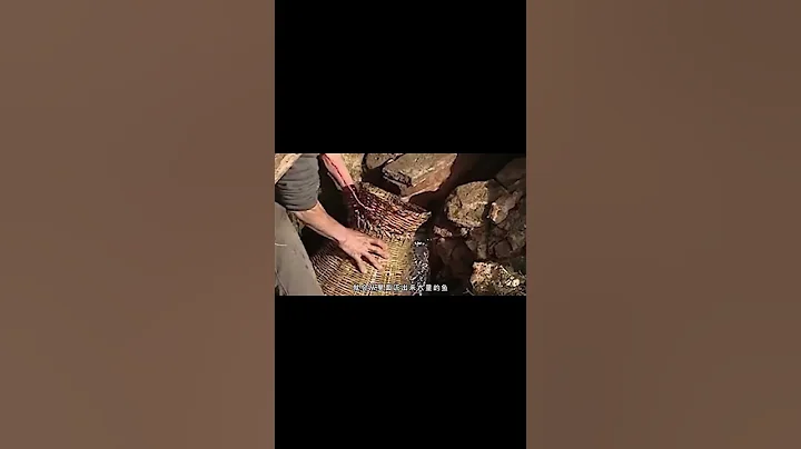 湖北發現神秘山洞，每年流出上萬斤魚，專家：不能吃！ - 天天要聞