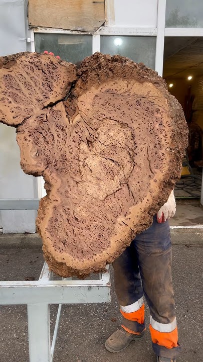 Каповый карагач картина в Москве - YouTube