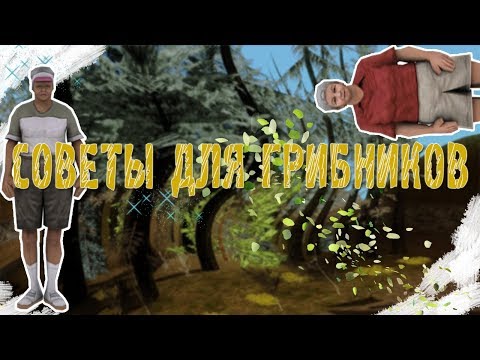 Video: San Andreas Datora Informācija