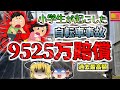 【2008年兵庫】子供が自転車で女性に激突 相手が植物状態となり賠償金9525万請求 過去最高額 【ゆっくり解説】