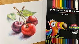 Prismacolor Junior Color Pencils 12 Colour | Unboxing/Swatches/Drawing