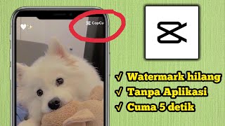 Cara Mudah Menyimpan Video CapCut Tanpa Watermark 2023