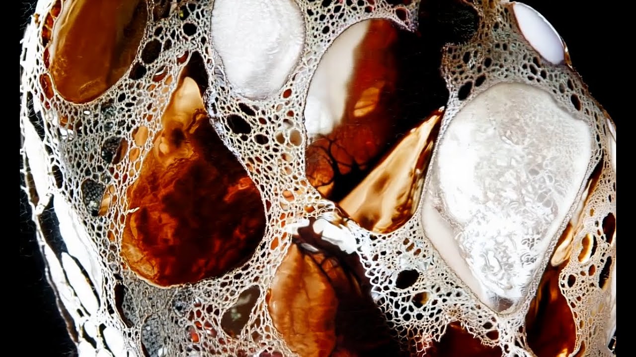 Cultivate | Runway GEN:48 2024