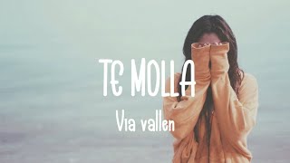 VIA VALLEN - TE MOLLA [LIRIK] COVER KOPLO VERSION