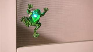 Light-Up Led Frog Magnetic Screen Door Saver 2La1086 From Evergreen Garden