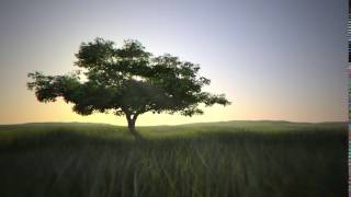 مشاهد للمونتاج شجرة زرع | HD Footage | tree in green land background