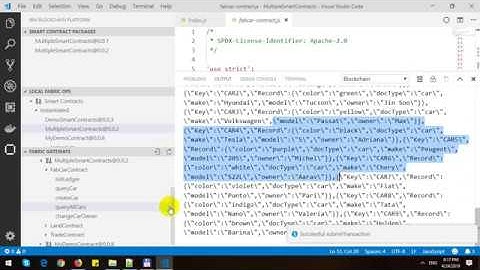 Multiple Smart Contracts in Hyperledger Fabric