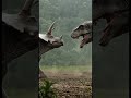 トリケラトプスvsティラノサウルス!壮絶バトル T-Rex vs Triceratops