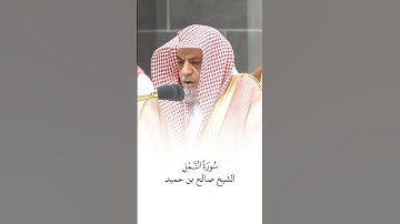 سورة النمل | الشيخ #صالح_بن_حميد