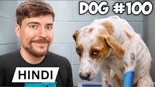 I Saved 100 Dogs From Dying ! MrBeast Hindi ! #mrbeast  #mrbeasthindi