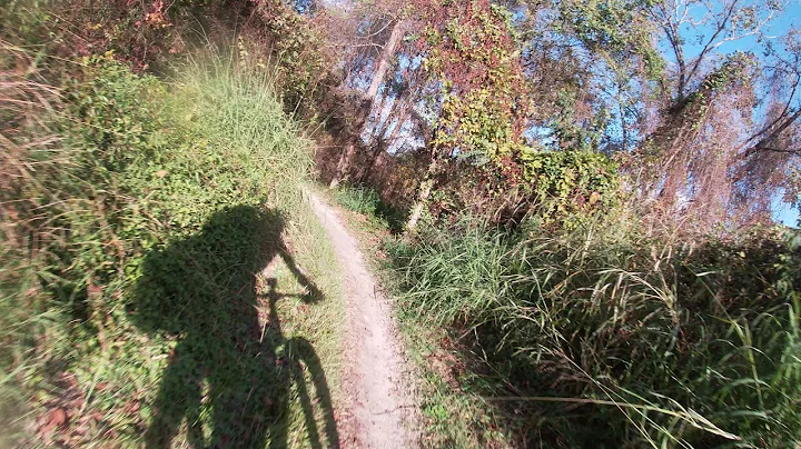 Cypresswood Trail - Collins Park to TC Jester