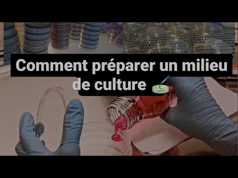 Vidéo: Quel(s) ingrédient(s) rend la macconkey agar différentielle ?