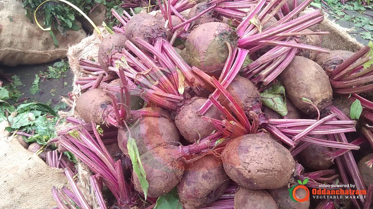 Export Quality Beetroot Packing Process and Exported to Kerala