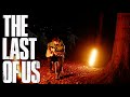 The Last of Us - Theme - Acoustic Guitar Cover