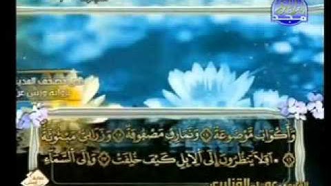 سورة الغاشية الشيخ عمر القزابري