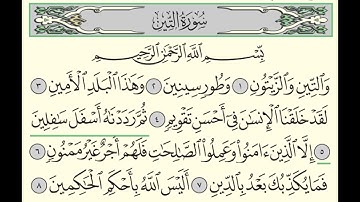 سورة التين - بندر بليلة - Surah At-Tin - Bander Baleela - (95)