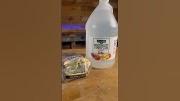 Quick & Easy Wood Aging Hack You Need to Try!