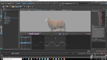 quadruped sheep walk cycle in maya part  06