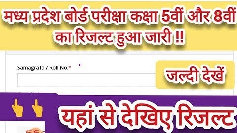 Mp Board Class 5th 8th result 2024 kaise dekhe ?  | Mp Board result 2024 kaise check kare ?