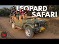 I went Leopard Safari in JAIPUR!!| Monkey Magic