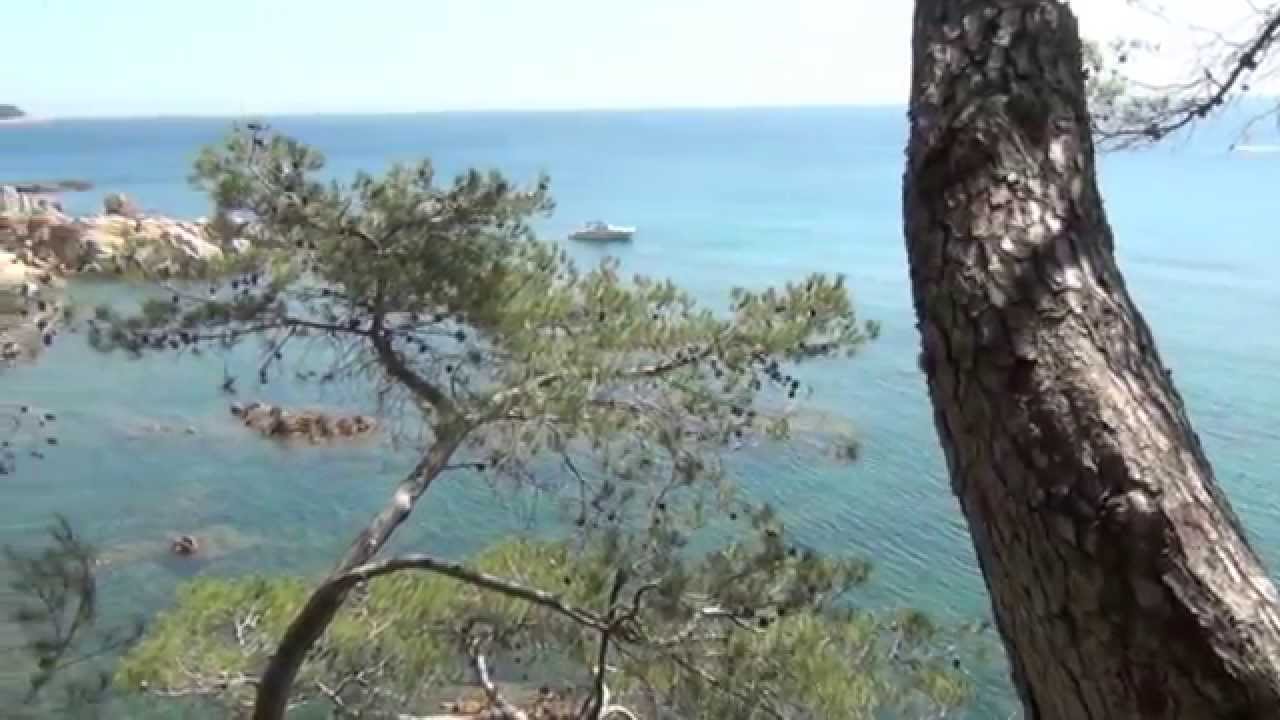 Cales de Palafrugell, Calella, Llafranc i Tamariu - Finques Frigola