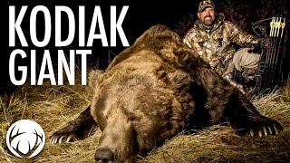 Kodiak Brown Bear at 20 yards WITH A BOW  \/\/ Lee \& Tiffany Lakosky