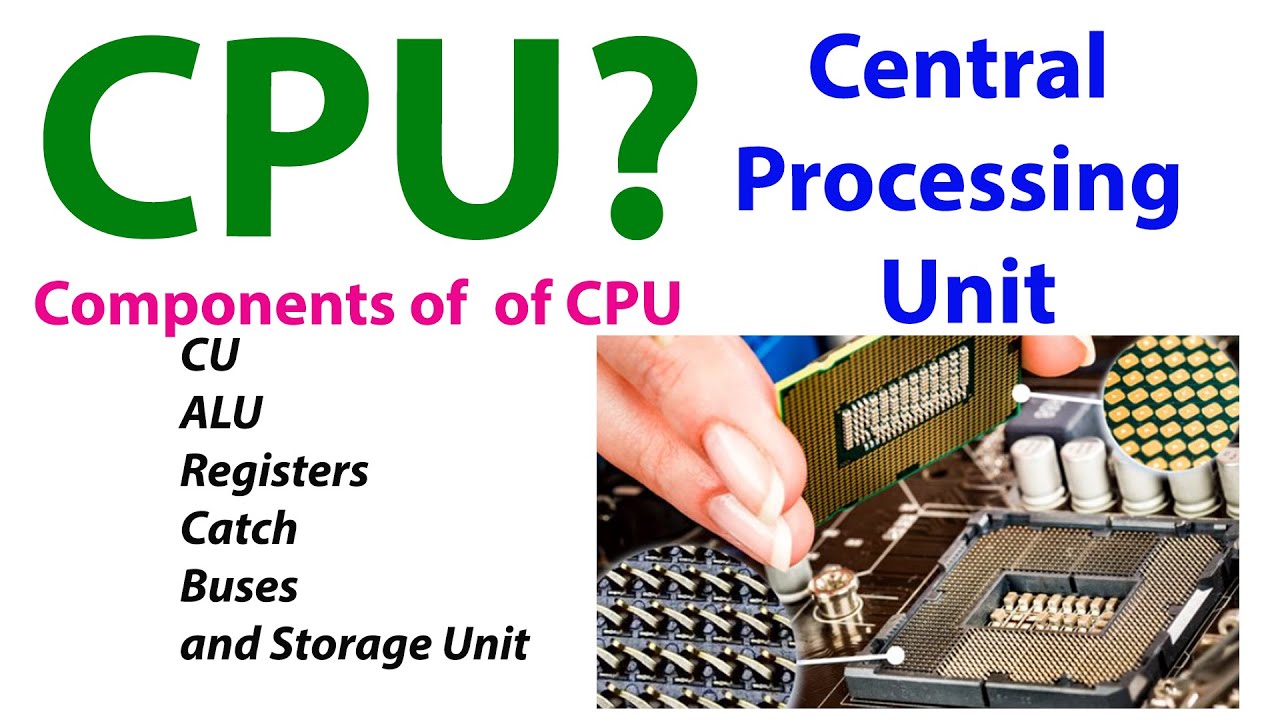 What Is CPU Full Explanation Parts Of CPU CU Registers Catch ALU what-is-cpu-full-explanation-parts-of-cpu-cu-registers-catch-alu