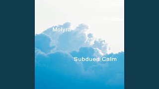 Subdued Calm