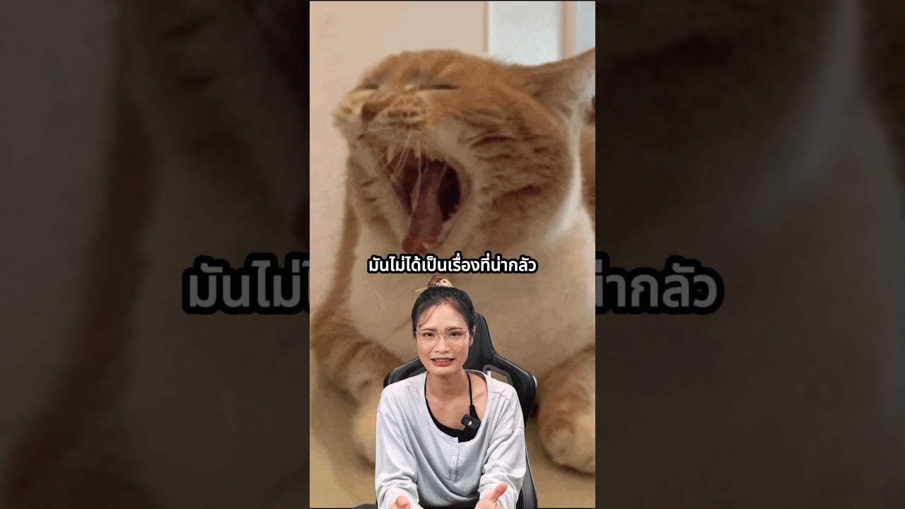 วัยรุ่นเมกาเถียง โซเชียลมีเดียไม่ได้ทำร้ายเราขนาดนั้น
