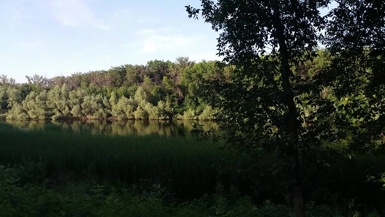 Турбаза подшипник средняя ахтуба