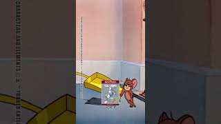 Tom y Jerry en Español 🇪🇸 | Procrastinación | #Shorts |  @WBKidsEspana