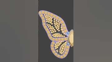 Butterfly Pendant | RhinoArtisan #Short