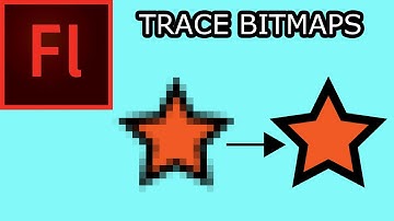 Working with Bitmaps in Flash CS5: 002 - Trace Bitmaps