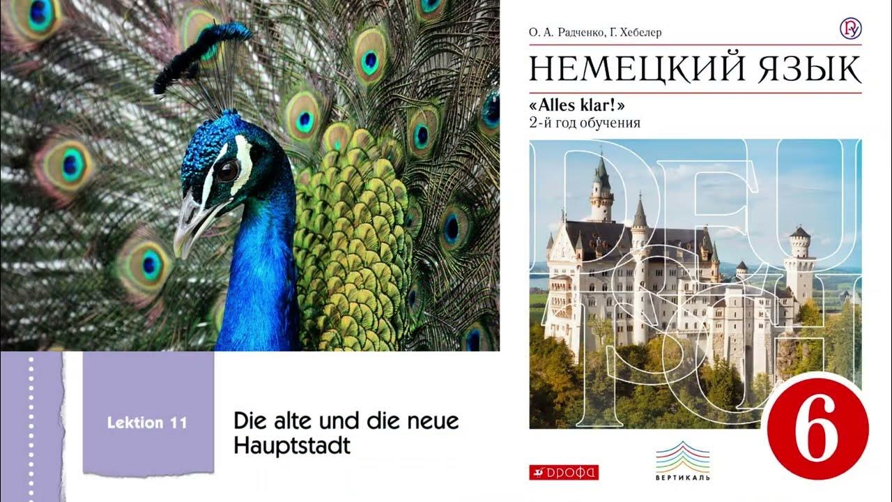 Alles klar! учебник 9 класс. Alles klar 5 класс учебник. Alles klar учебник. Alles klar 5 класс учебник. Alles klar! учебник 9 класс.