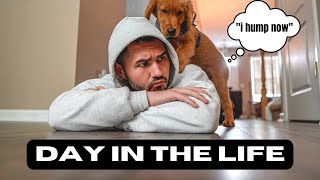 Day in the Life with a Golden Retriever Puppy | DOG VLOG