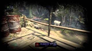 Crazy Blackops Random Grenade Impact Kill