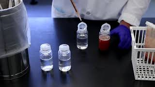 Soleris® Training Part 2 | Dilution and Inoculation