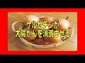 ★玉ねぎに含まれているポリフェノール「ケルセチン」が大腸がんを消滅させる  完全保存版