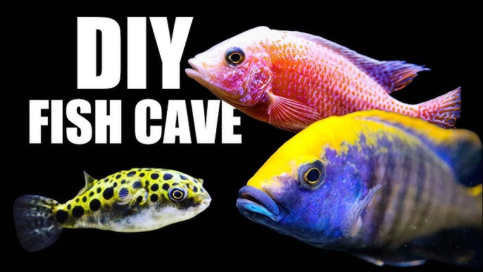 A Whole Bunch of Reasons You Should Be Using River Rocks in Your Aquarium!  