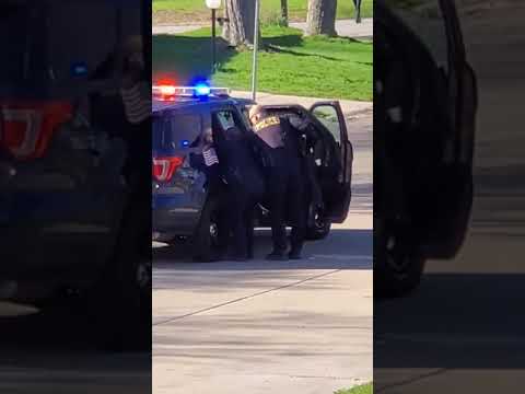 Arrest & Beating of Urbana Resident Aleyah Lewis (Police: Sgts James Cory Koker & Michael Cervantes)