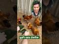 মুরগি ধরার কৌশল | How to Catch Hen in Village #shorts #viralvideo #chiken