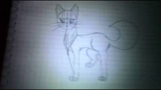 Урок 3 как нарисовать кота воителя \