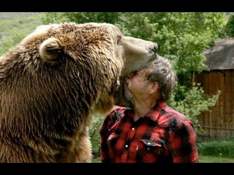 מה לעשות אם דוב תוקף אותכם?