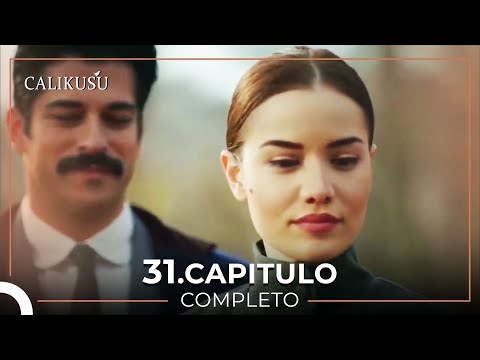 Calikusu 31 Capítulo